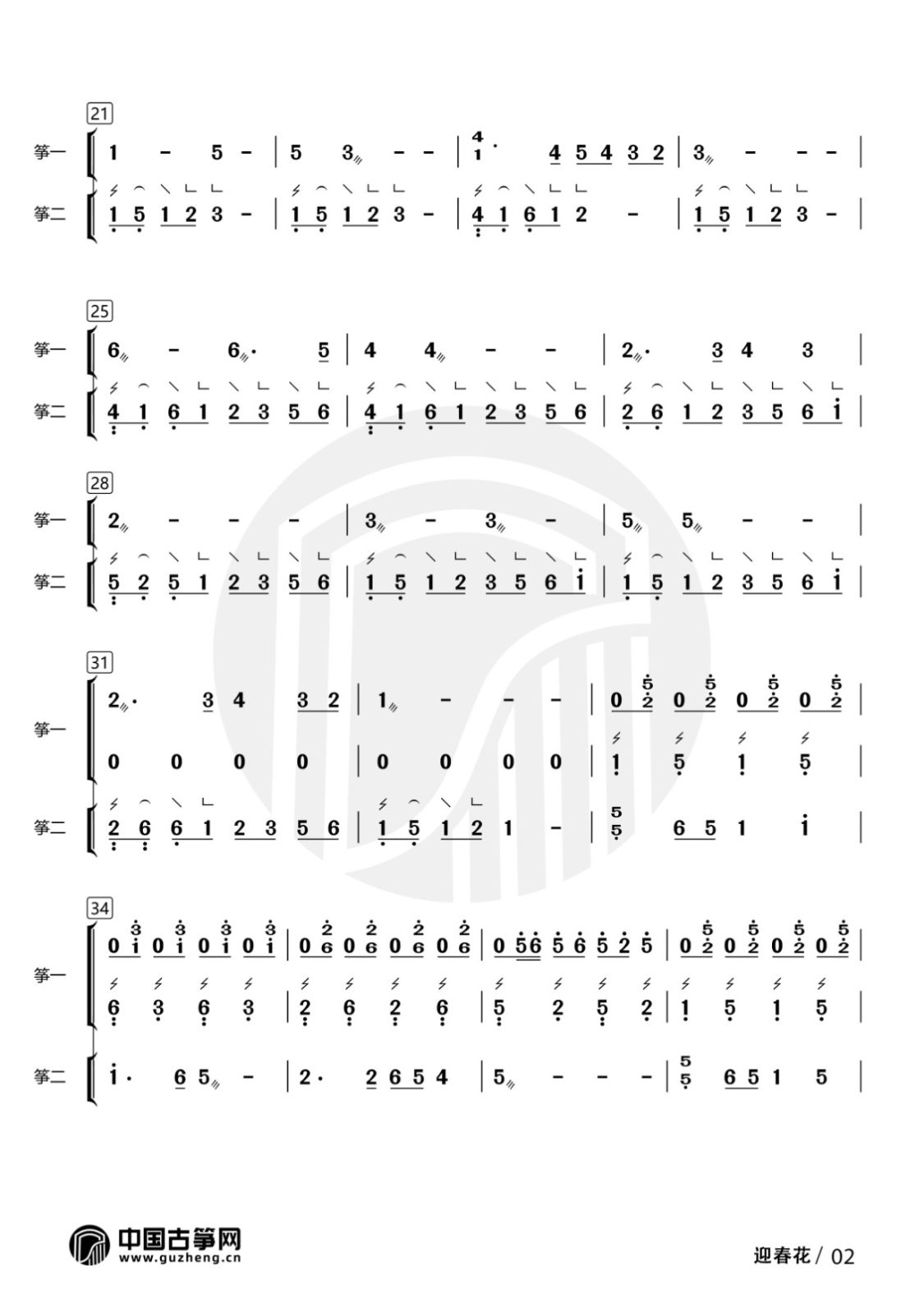 迎春花-有水印2