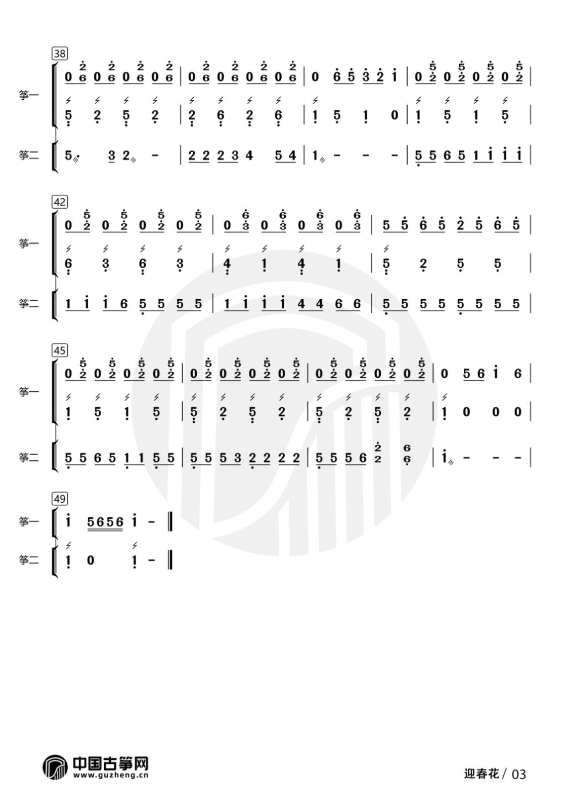 迎春花-有水印3