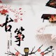 袁丽
