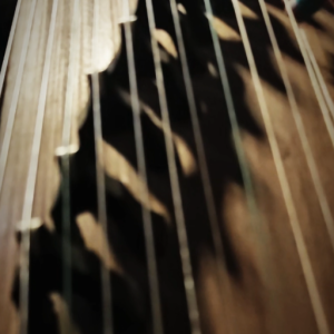 江畔独步<font style=