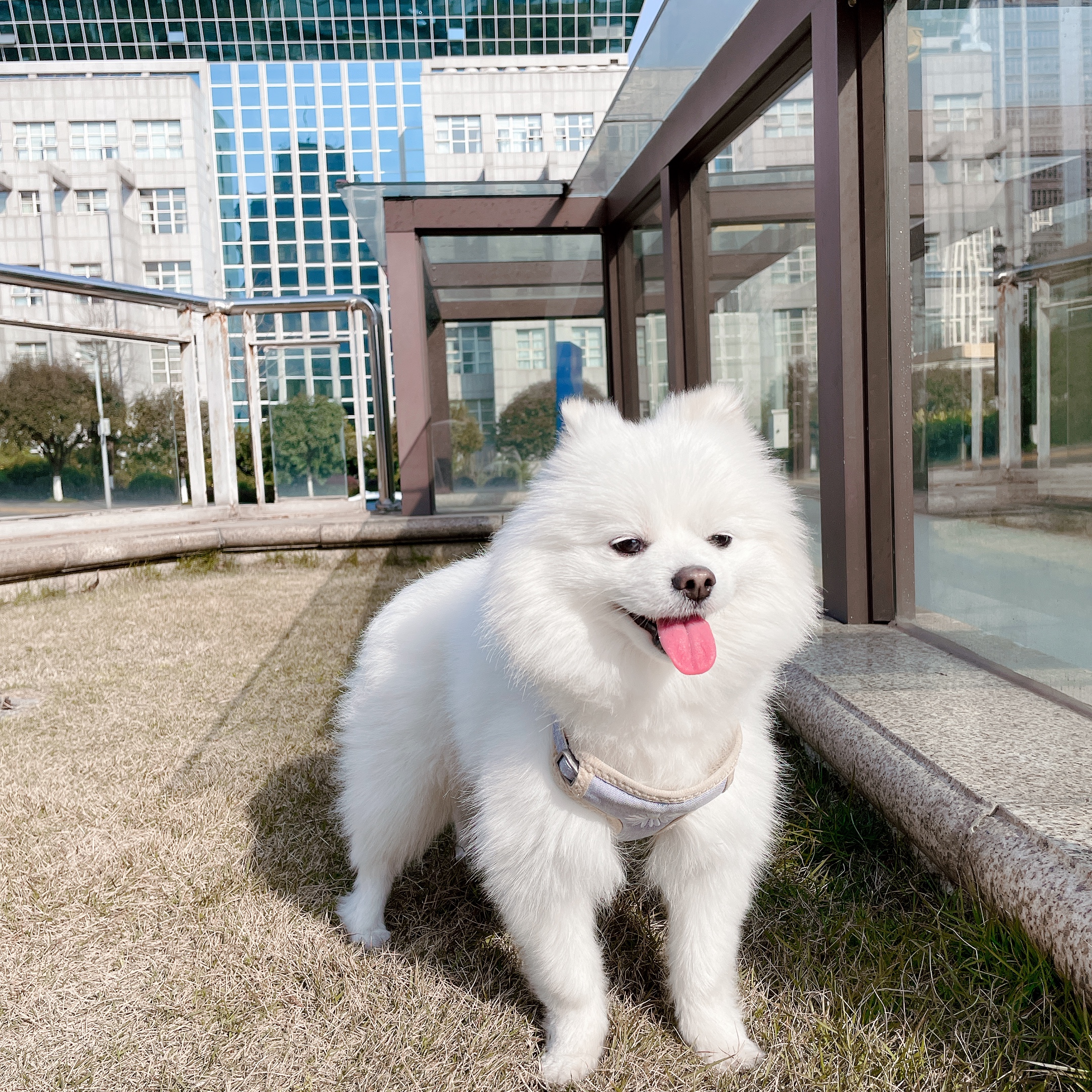 小陈老师的古筝课堂