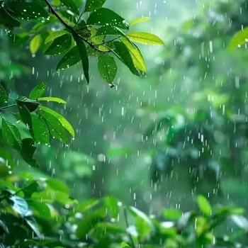 古箏曲