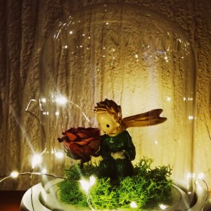 纯筝 | 小王子的<font style=