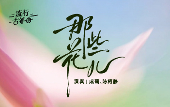 流行古筝曲：《那些花儿》