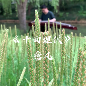 古筝《新十面埋伏》改编自琵琶曲<font style=