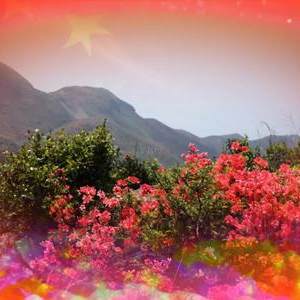 庆建党100周年|山丹丹<font style=