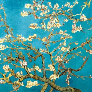 在平凡的生活<font style=