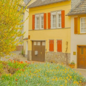 纯音乐☂|刷题，背单词，熬夜学习专用☁