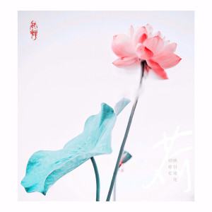 弹古筝的小曦月