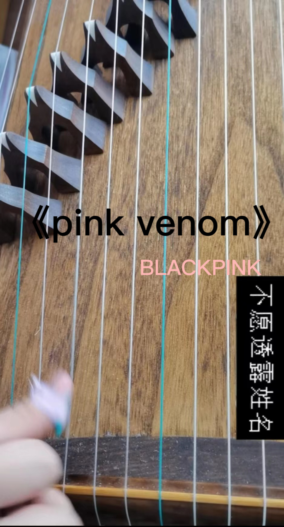 BLACKPINK新歌《pinkvenom》