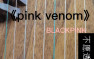 BLACKPINK新歌《pinkvenom》