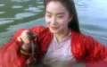 古筝笛子简谱分享