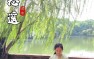 古筝流行曲