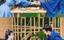 流行乐曲