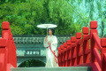 玉面小嫣然古筝改编合集