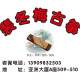 裴冬梅古筝工作室