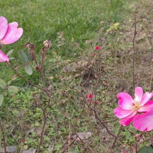 古筝学习之<font style=