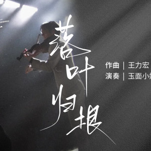 流行古筝曲：《落叶归根》