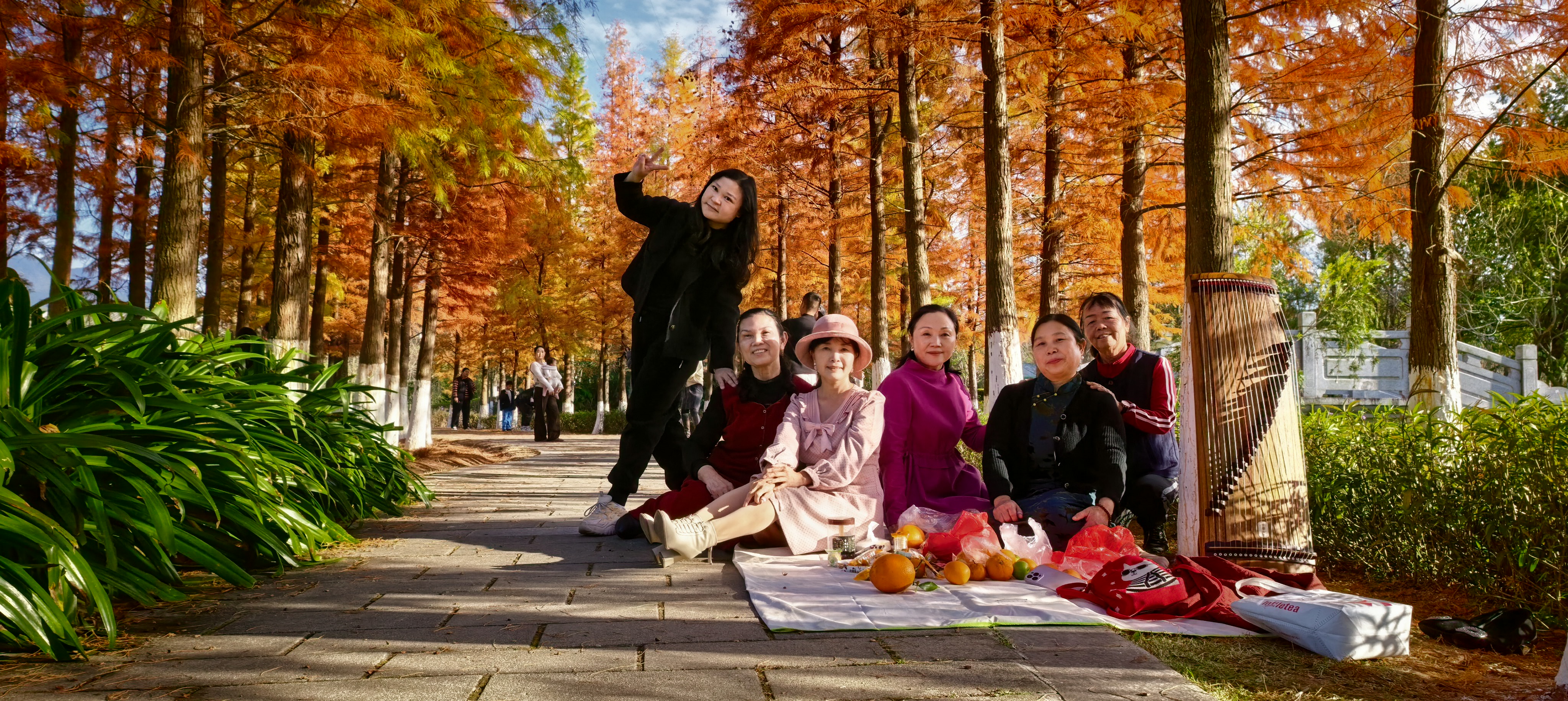 筝与自然（武平森林公园）