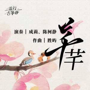 流行古筝曲：《芊芊》