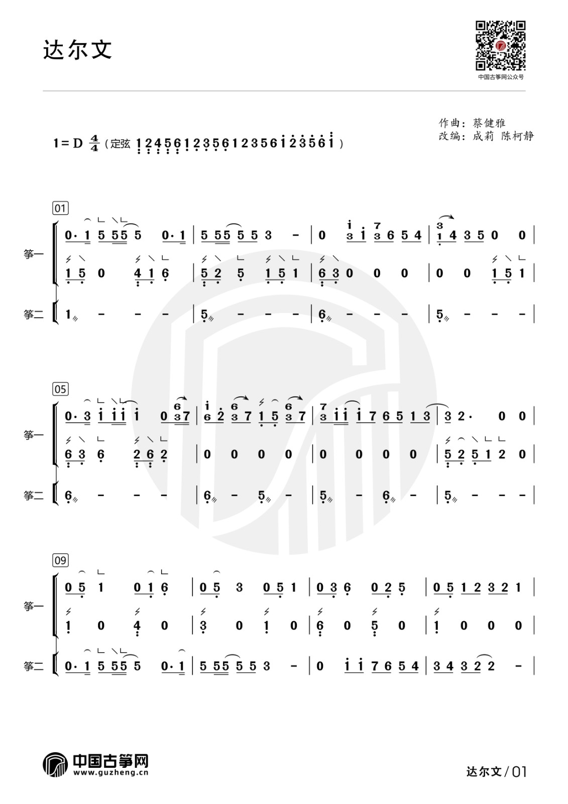 流行古筝曲：《达尔文》