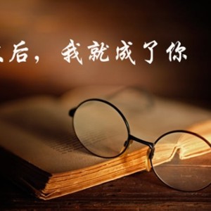 长大后我就成了你（宋祖英演唱歌曲）