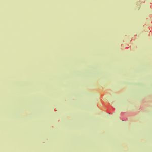 琴师