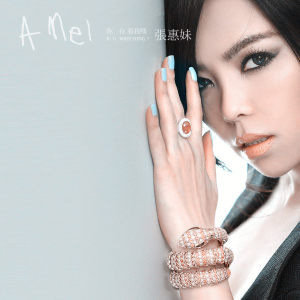 站在高岗上（张惠妹演唱歌曲）