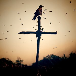 千支针刺在我心