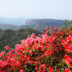 山丹丹开花红艳艳 慢板部分慢速示范