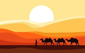 《沙漠骆驼》（展展与罗罗演唱歌曲）