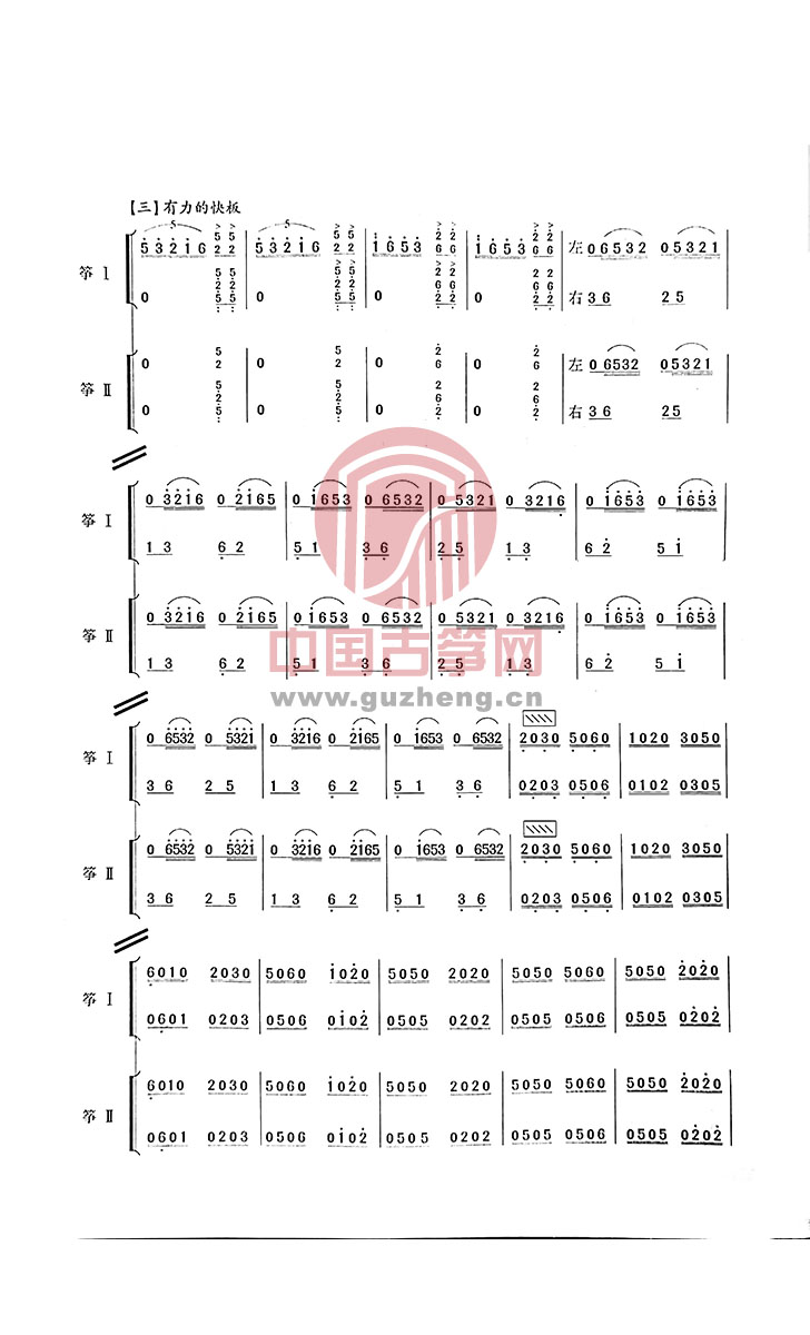 洞庭新歌古筝二重奏