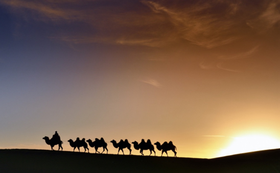 流行古筝曲：《沙漠骆驼》