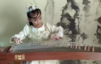 《我的中国心》演奏：鸿雁古筝