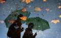 燕剪秋雨