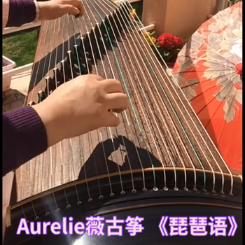 伴奏版《琵琶语》演奏：Aurelie薇古筝