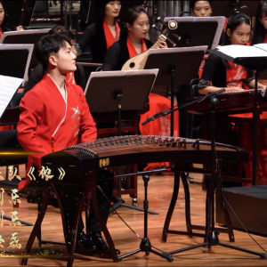 协奏曲《侬》独奏：刘乐，协奏：广东民族乐团