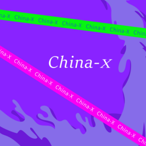 流行古筝曲：《China X》