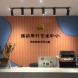 博韵琴筝工作室