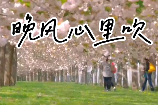 古箏曲