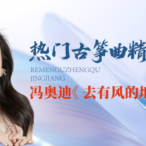 热门古筝曲精讲-冯奥迪《去有风的地方》