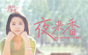 流行古筝曲：《夜来香》
