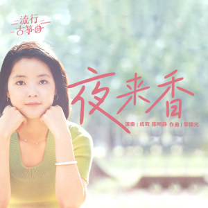 流行古筝曲：《夜来香》