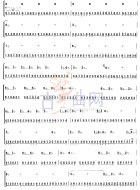 摇指与琶音练习