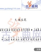 南瓜花