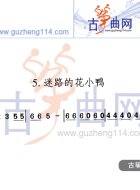 迷路的花小鸭