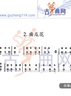 南瓜花
