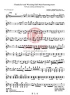 Chandelier&wrecking ball（中阮部分）