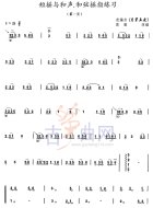 短摇与和声、和弦摇指练习