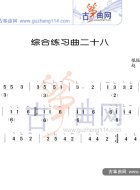 综合练习曲28